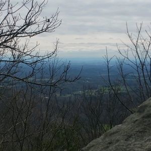 Meet your Posher, Brandi